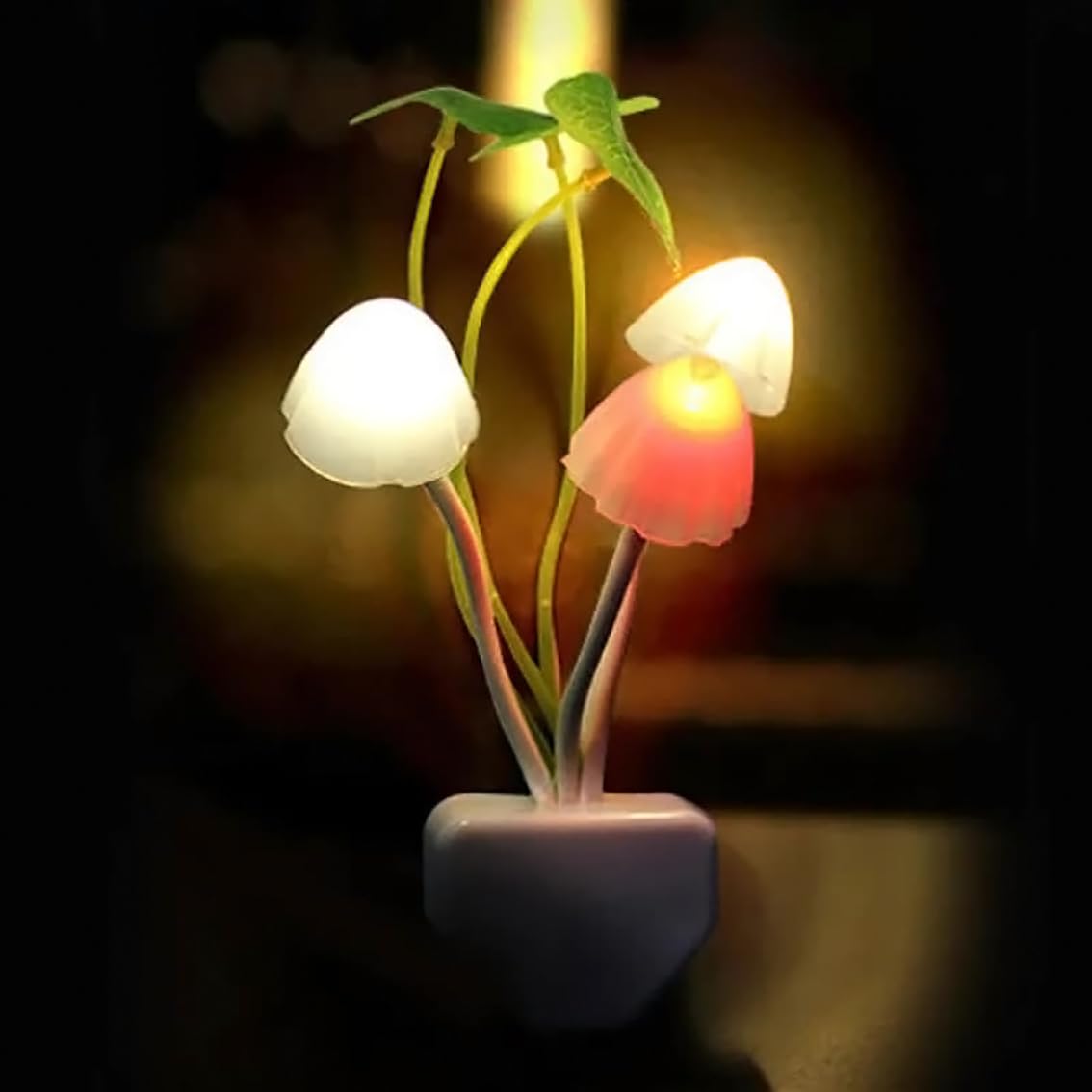 Mashroom night lamp